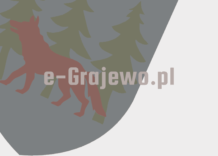 Grajewo ogłoszenia: Witam, sprzedam ładny zadbany dywan szyty o wymiarach 300/200. W...
