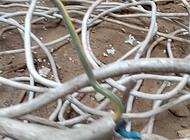 Grajewo ogłoszenia: Sprzedam kabel czterożyłowy z mufą, jest jego około 50 metrów.... - zdjęcie